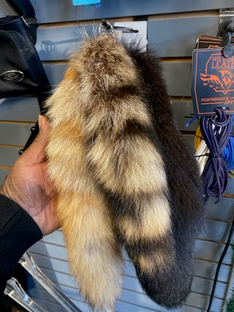 Coon Tail